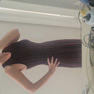 WHBM dress size small